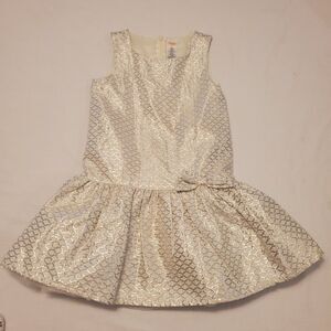 Gymboree Girls Sz 7 Silver Crinkle Formal Dress Fancy Tulle Event